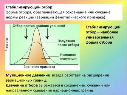 Приводит к сужению нормы реакции