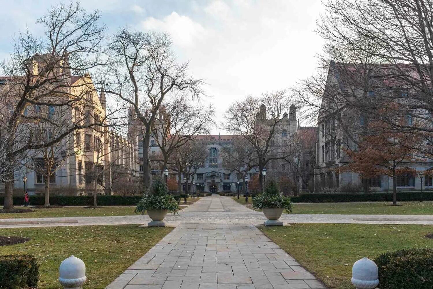 Чикагский университет (university of chicago), сша здание внутри. Университет чикаго кампус. Чикагский университет university of chicago сша. Университет чикаго. Чикагский университет кампус.