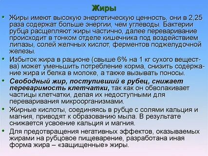 Всегда ли излишки жира полезны для организма