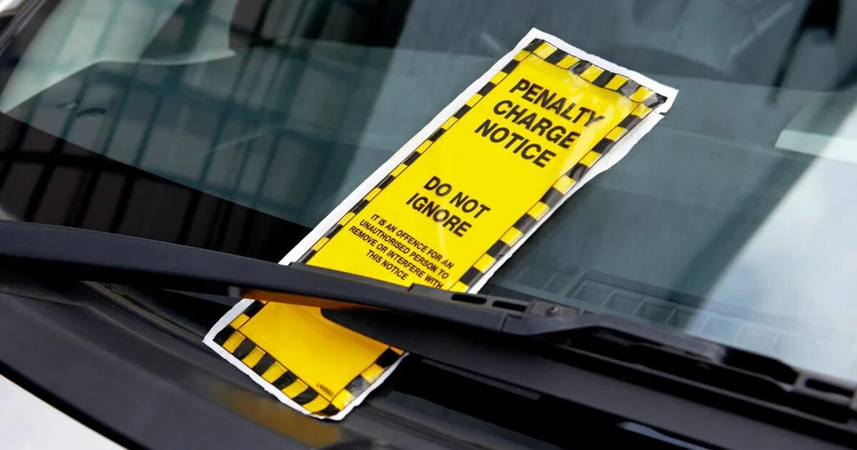 California traffic ticket. Fine for parking. Fine штраф. The parking ticket. Park ticket.