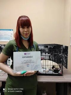 Альтернатива новосибирск