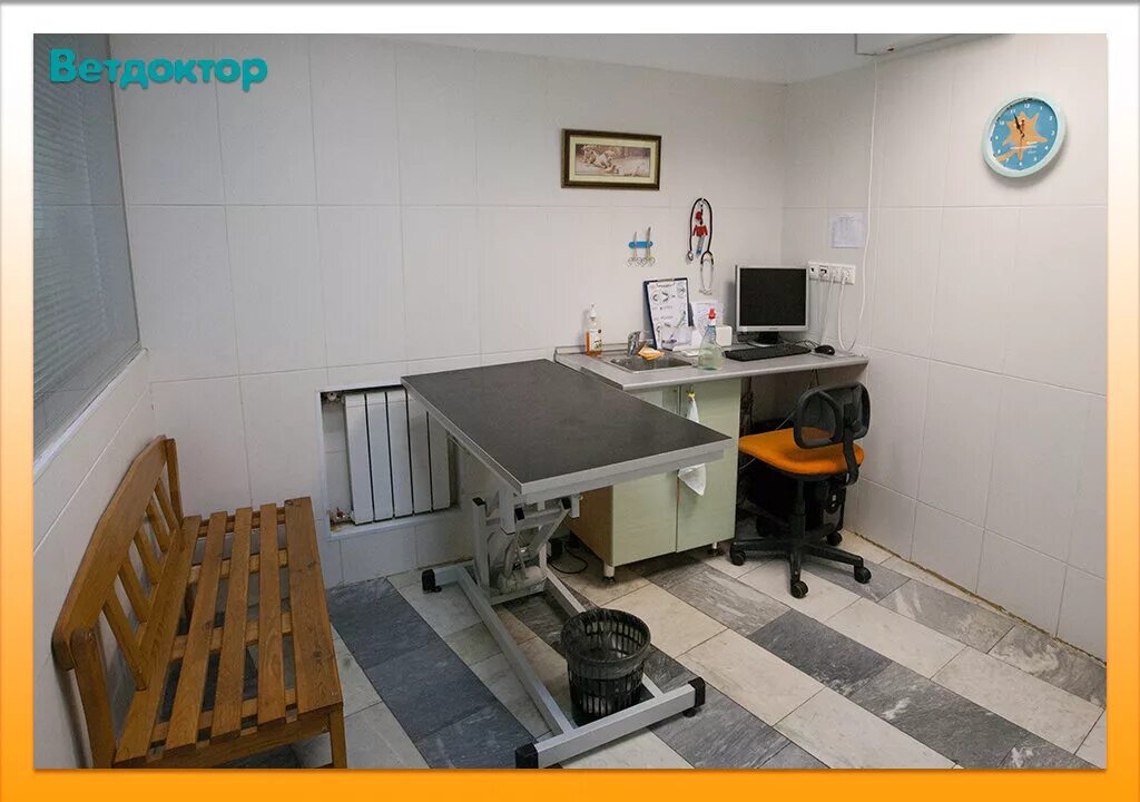 ветеринарные клиники химмаш екатеринбург. ветеринарная клиника химмаш. ветклиника екатеринбург химмаш. ветдоктор екатеринбург профсоюзная. ветдоктор екатеринбург профсоюзная 55.