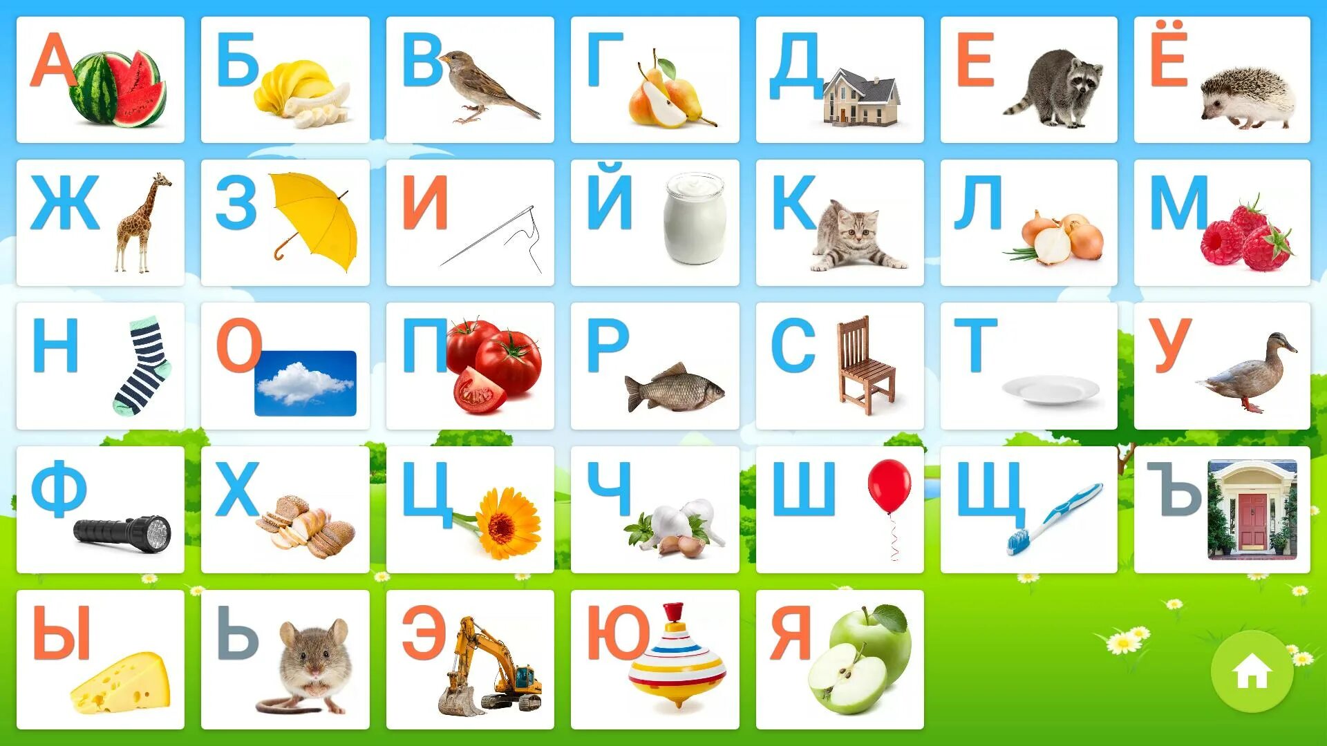 Учить буквы 7 лет