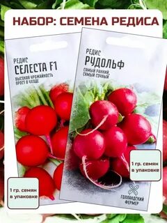 Редиска отзывы