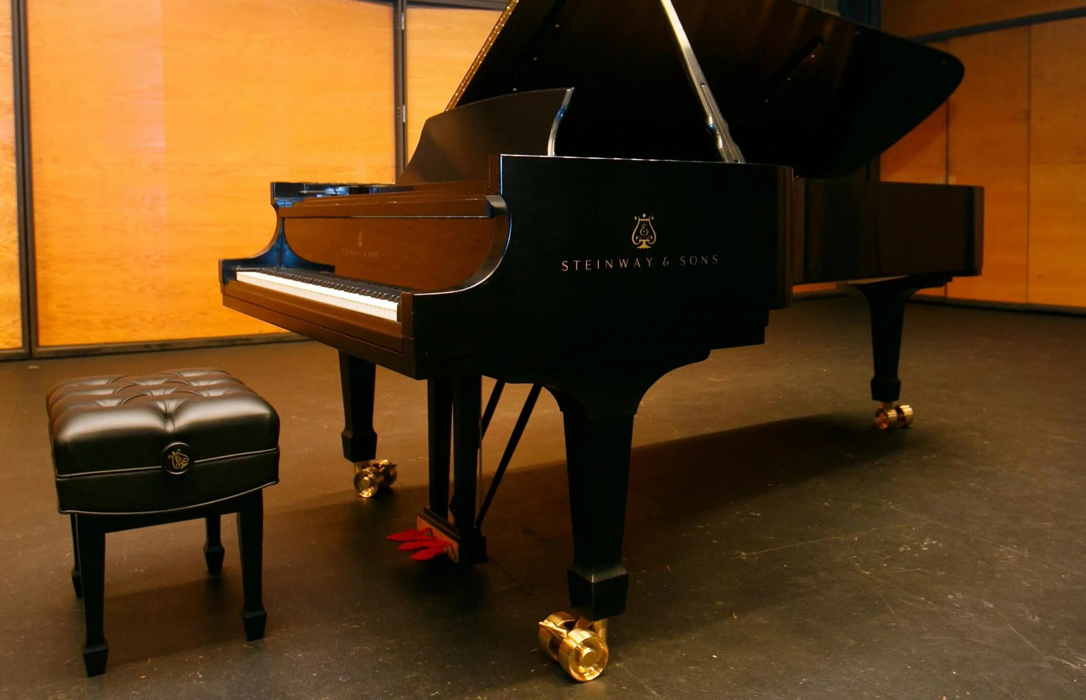 Клавир. Рояль bosendorfer вербье. Цифровое фортепиано. Ар рояль. Масса рояля.