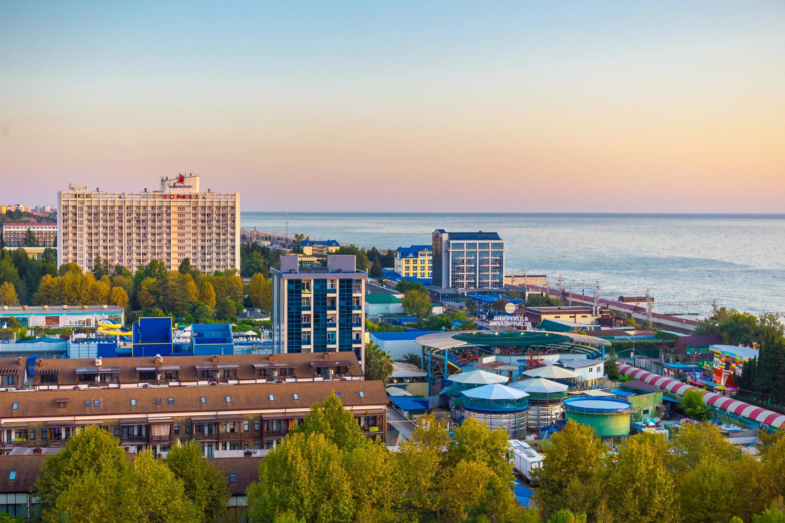 Дельфин Сочи пансионат Адлеркурорт. Курортный городок Адлер коралл. Адлеркурорт корпус коралл. Адлеркурорт, корпус коралл 3*. Сочи адлер курорт санаторий