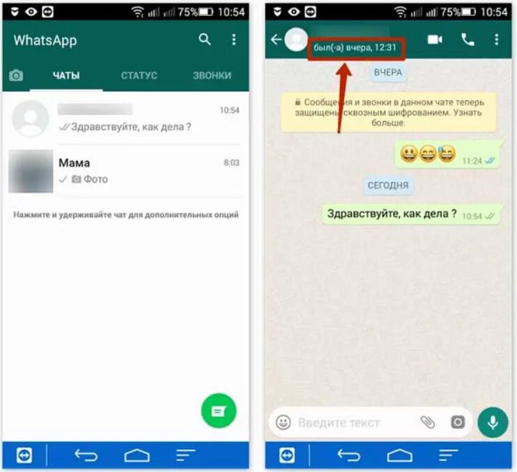 Сообщение WHATSAPP. WHATSAPP чат. Сообщение в ватсапе. Вати САП. Как экспортировать ватсап