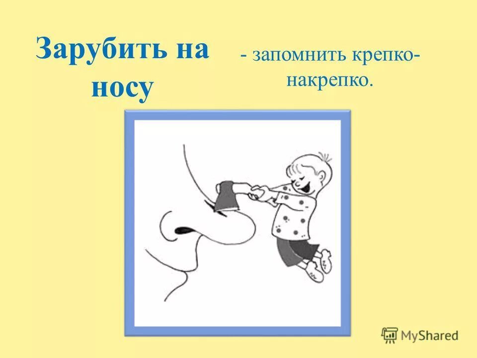 Фразеологизм зарубить на носу. Зарубить на носу. Зарубить на носу - запомнить крепко-накрепко. Фразеологизм заруби на носу.