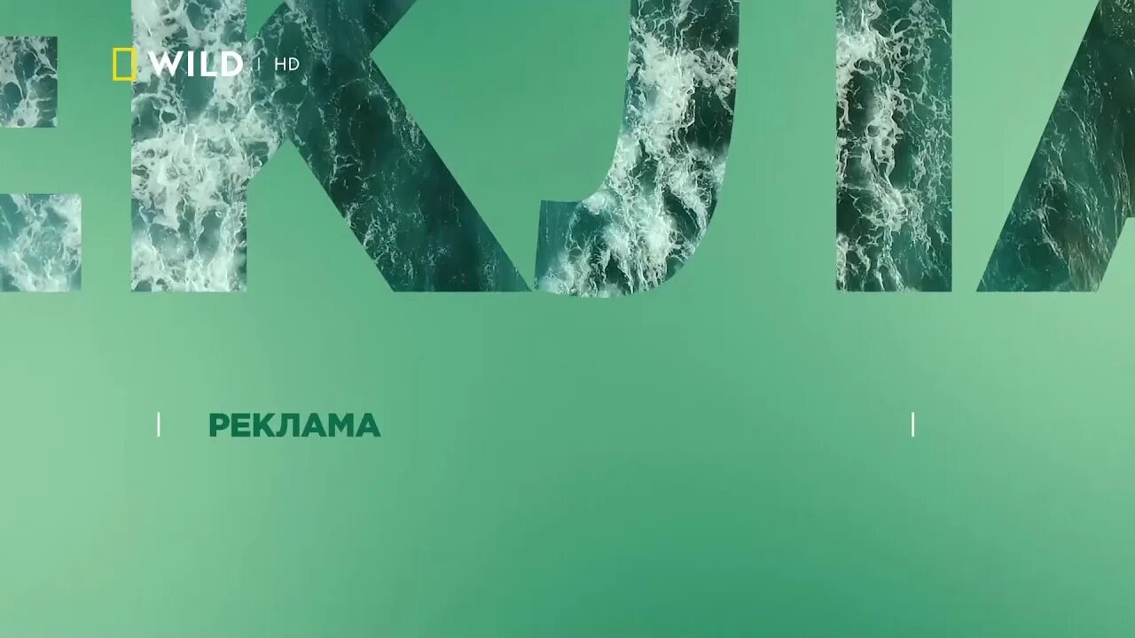 Дикий канал прямой. Nat geo Wild Телеканал. Nat geo Wild реклама. Нат Гео вайлд заставка.