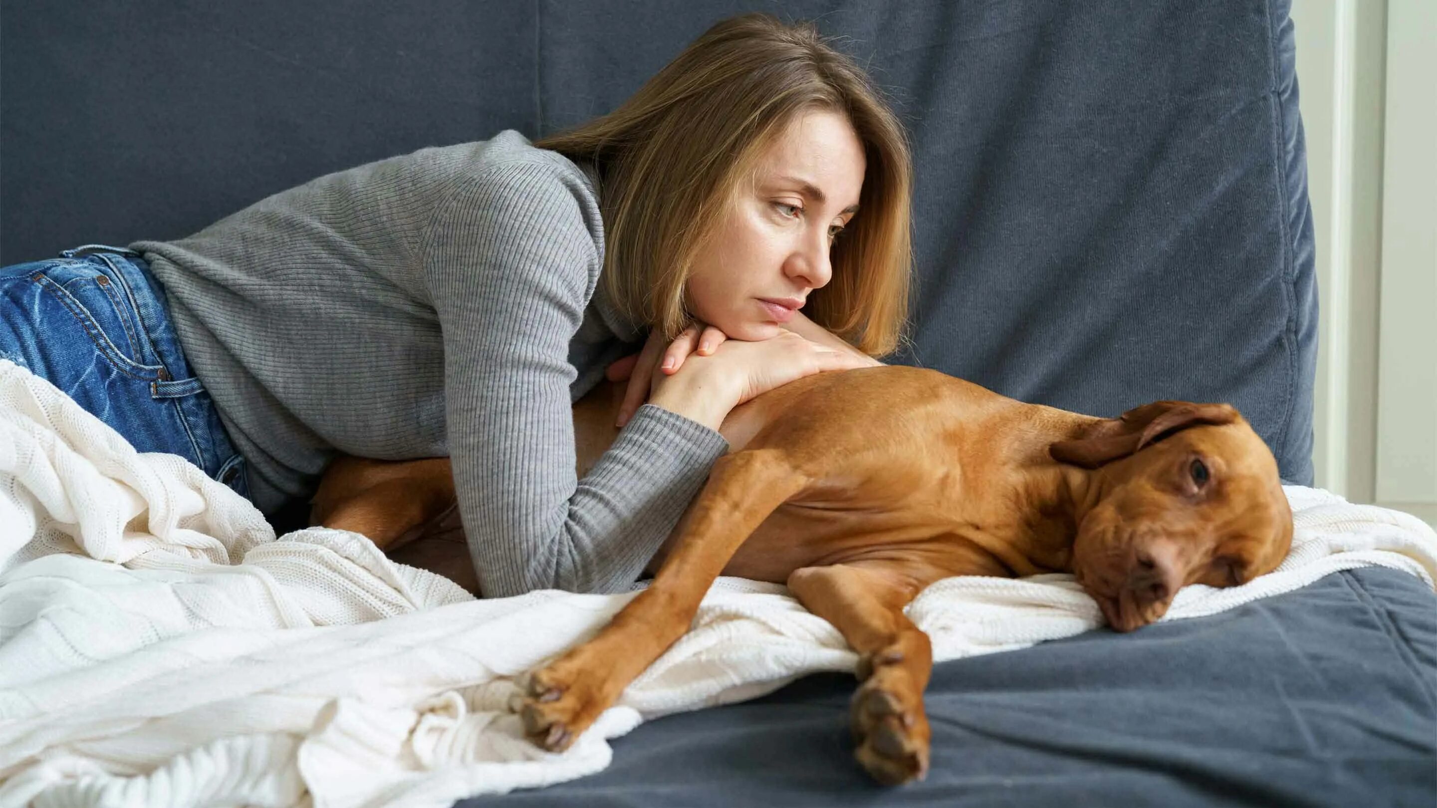 Женщина с собакой домашнее. Девушка с собакой в кровати. Собака домашниедевушка женщины. Щенок лежит.