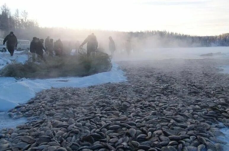 Топили в озере. Топили в озере. Человек тонет в воде. Спасение тонущего ребенка. Парк утиное озеро дзержинск.