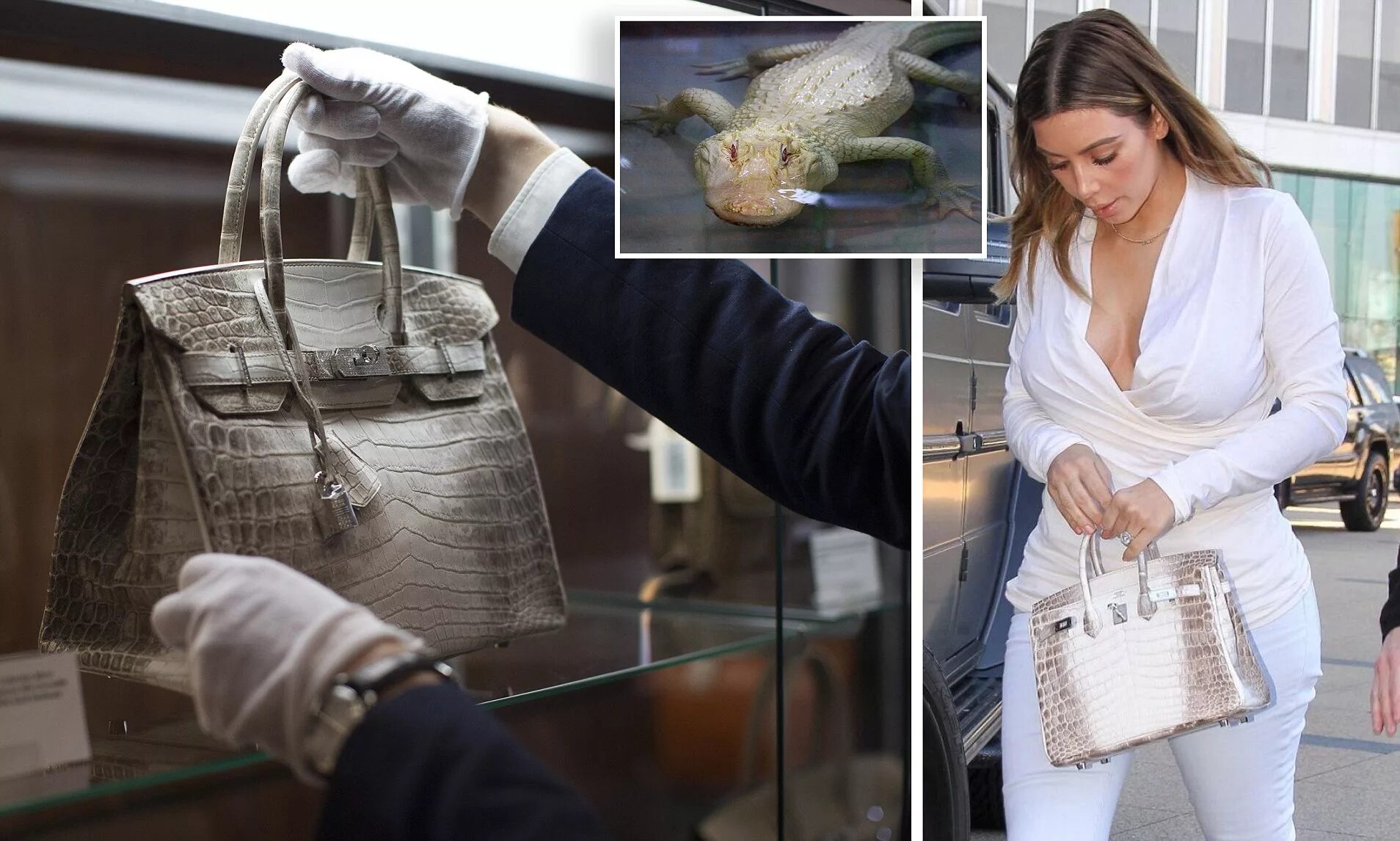 Самая дорогая сумка биркин. Hermes birkin самая дорогая сумка. Гермес биркин сумки 25. Hermes birkin high resolution. Дорогие сумки хермес биркин.