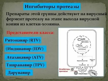 Ингибиторы протеаз