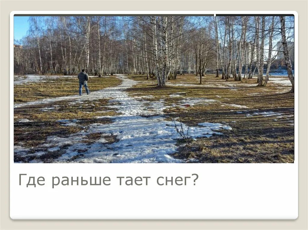 Весенние явления. Весенние явления природы в живой природе. Весенние явления в неживой природе. Примеры весенних явлений в неживой природе 2