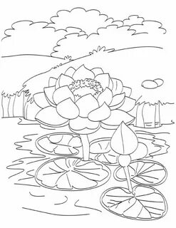 Lake coloring books