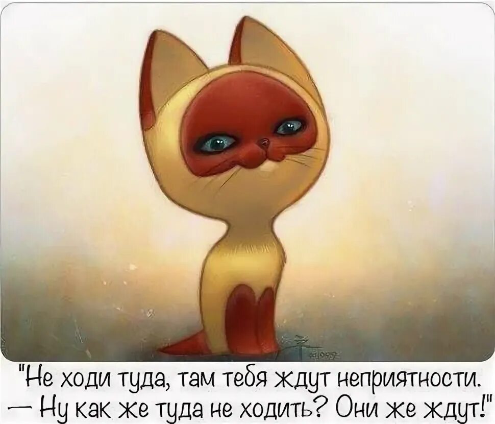 Не ходи тебя ждут неприятности. Там неприятности но они же ждут. Неприятности они же ждут. Там тебя ждут неприятности. Там тебя ждут неприятности.