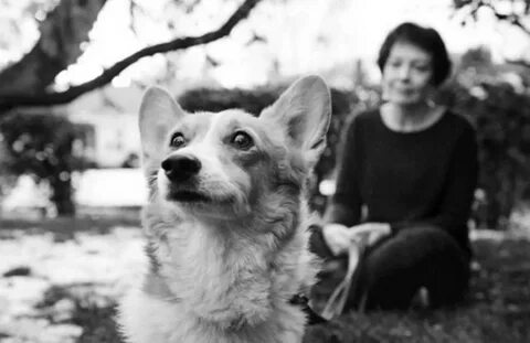 Dog and sarah