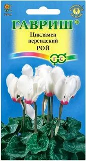 Семена комнатных цветов