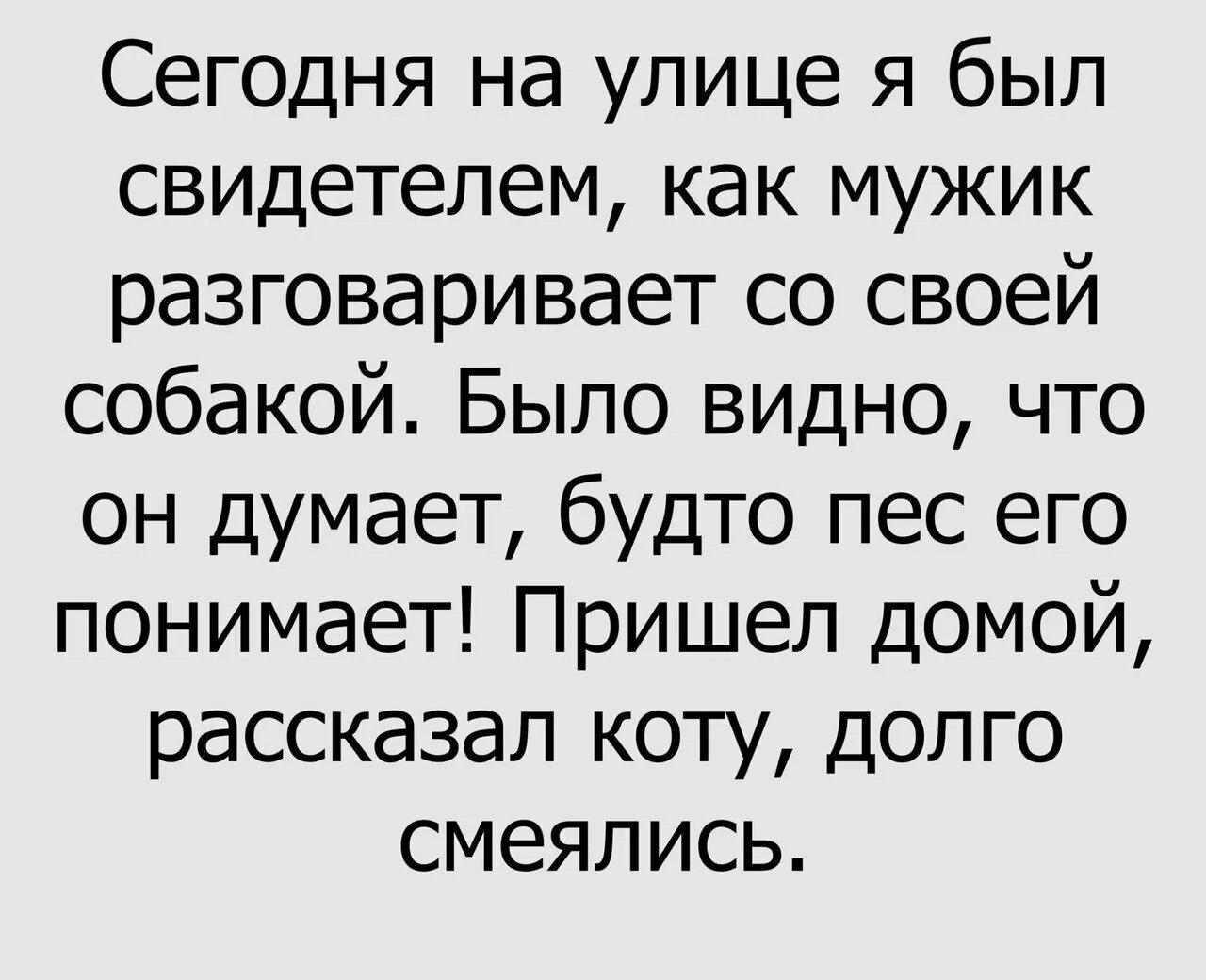 Рассказал коту долго смеялись. Рассказал коту долго смеялись анекдот. Сегодня был свидетелем как хозяин разговаривает со своей собакой.