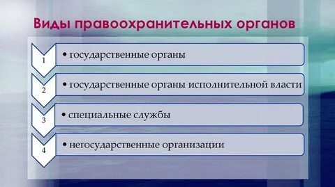 Виды правоохранительной деятельности тест