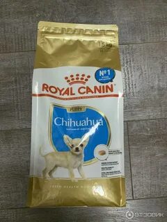 Роял для чихуахуа