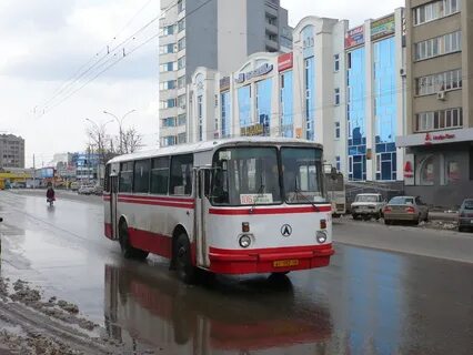 Автобус 204