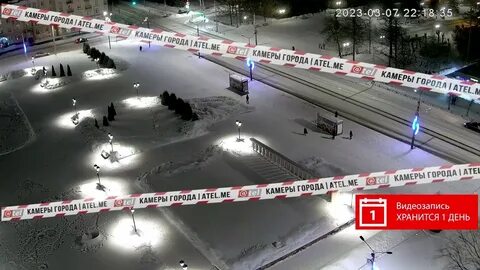 Камеры ател