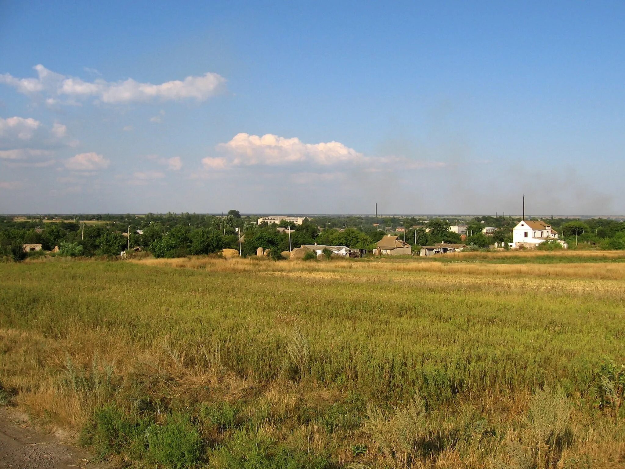 Село Васильевка Тольятти. Васильевка (Ставропольский район). Нововасильевка (Крым). Нововасильевка Запорожская.