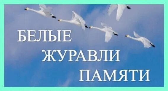 Крокус день памяти журавли. Журавли нашей памяти. Картинки белые Журавли памяти на прозрачном фоне.