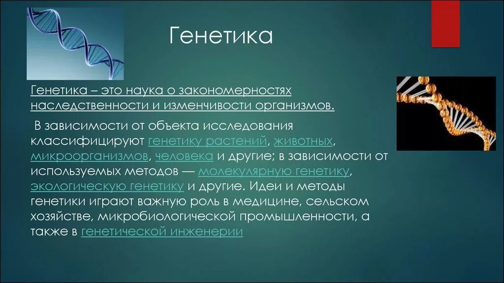 Какую роль играют гены. Презентация на тему генетика. Генетика биология презентация. Презентация по генетике. Презентация на тему генетика человека.