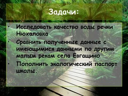 Описание коста