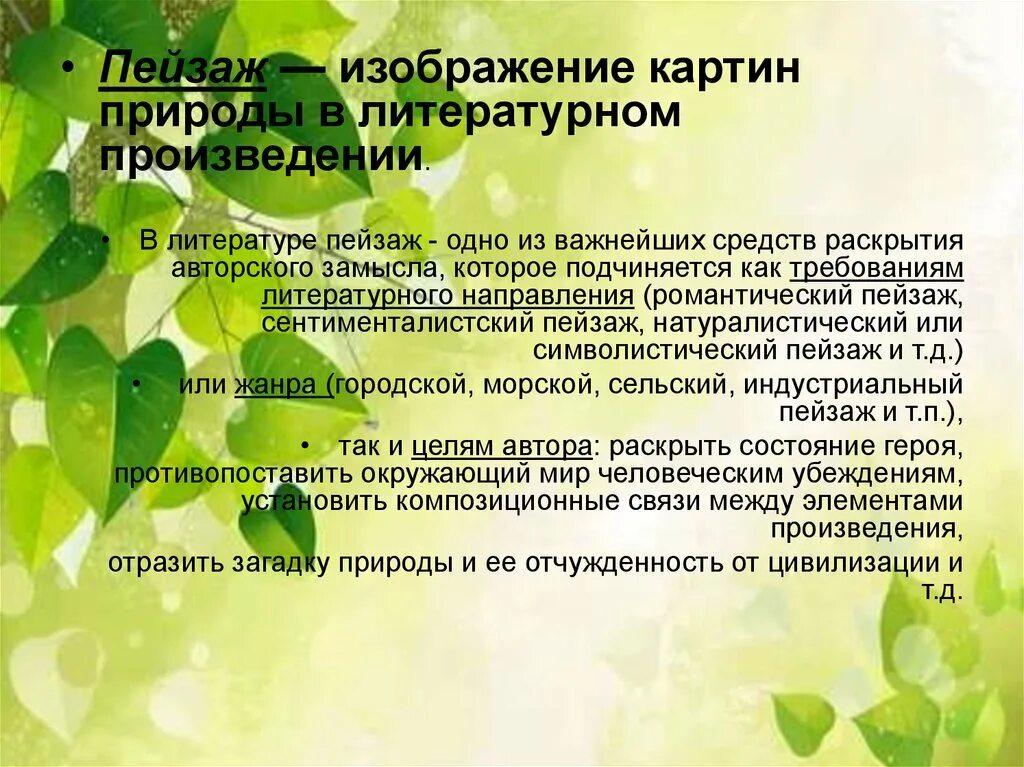 Какова роль природы в романе. Функции пейзажа в литературном произведении. Что такое пейзаж в литературном произведении. Роль пейзажа в литературе. Функции пейзажа в художественном произведении.