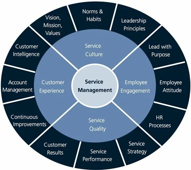 Services Management. Service Management service. Модель менеджмент 3.0. Референтная модель service customer.