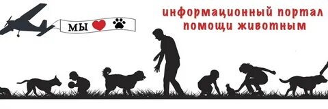 Общества защиты бездомных животных