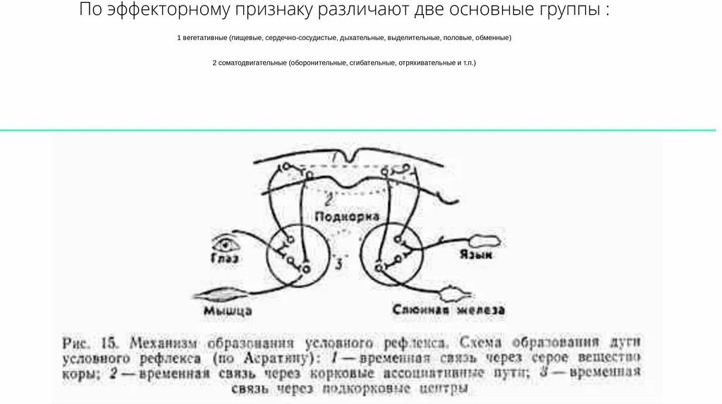 Временная связь рефлекс рефлекс. Схема выработки условного мигательного рефлекса. Рефлекторная дуга условного рефлекса физиология. Дуга условного рефлекса схема. Рефлекторная дуга условного рефлекса схема.