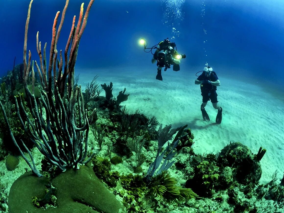 Глубоководные части океана. Подводный заповедник Жак Кусто. Раджа Ампат дайвинг. Большой Барьерный риф дайвинг. Карибское море Атлантический океан.
