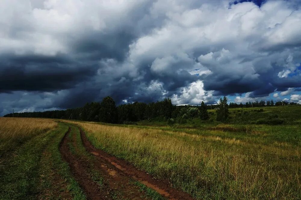 Где области дождя. Пасмурный пейзаж. Лес перед грозой. Природа перед грозой. Летний пасмурный пейзаж.