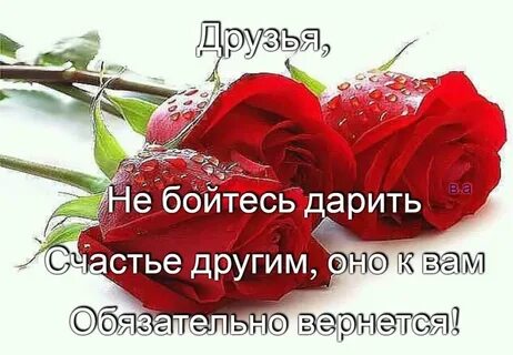 Дарите друг другу добро и любовь