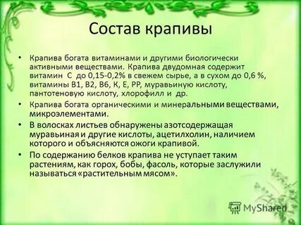 Витамины в крапиве