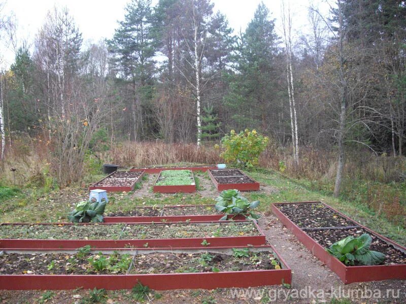 новые дачники клумбы. грядка из забора дачник. последний дачник. новые дачники ограждения для грядок и клумб. последний дачник.