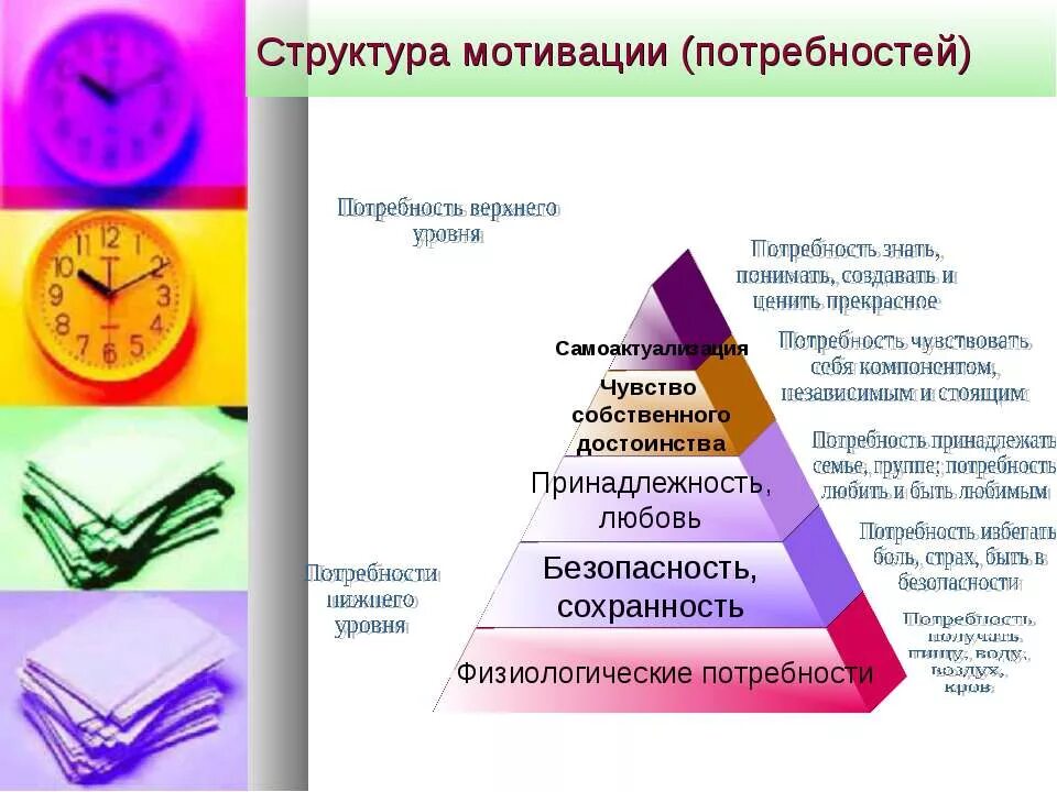 Структура мотивации. Структура мотивации в психологии. Мотивация и потребности. Структура потребностей.