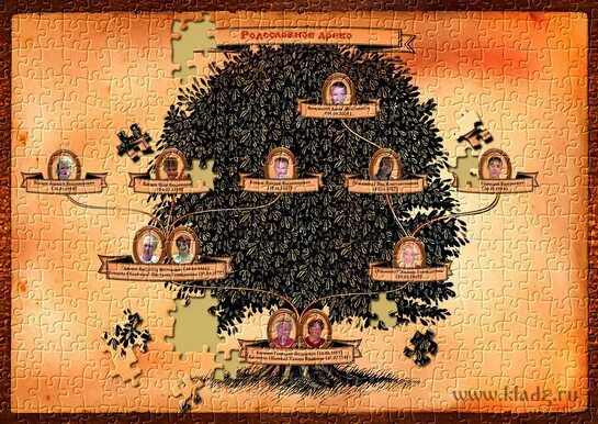 Свиток родословной. Генеалогическое агентство. Семейное бюро недвижимости челябинск. "елена логинова" генеалогия. Литера омск.