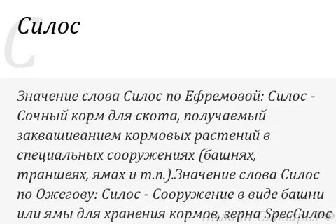Силос множественное число