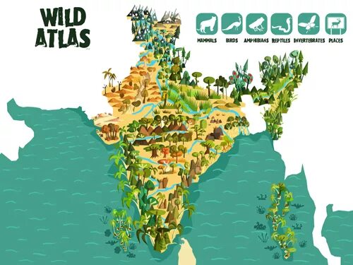 Maps wild. Атлас интерактивная карта. Карта WWF. Вилд карт. Wildlife Atlas.
