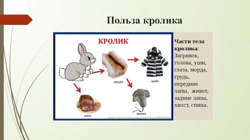 Что человек получает от кролика. Польза кролика для человека. Чем полезен заяц для человека. Польза от кролика. Польза от кролика для человека.