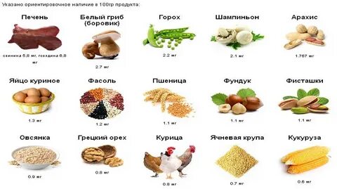 В каких продуктах холестерин