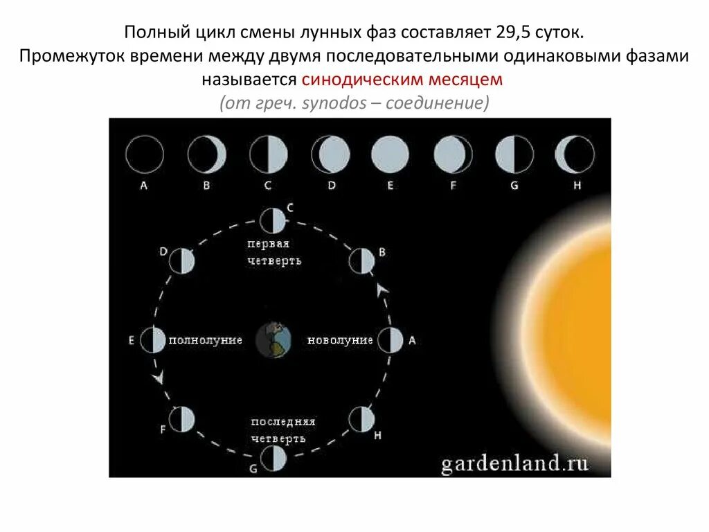 Луна 2 продолжительность. Полный цикл лунных фаз. Цикл смены лунных фаз. Полный цикл смены лунных фаз составляет. Движение и фазы Луны.