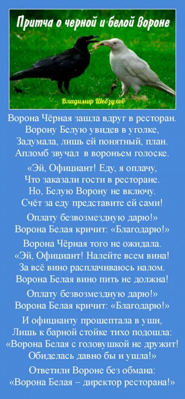 Притча про белую ворону. Белая и черная ворона притча. Притча про белую ворону в ресторане. Притча о черной и белой вороне. Стихотворение притча