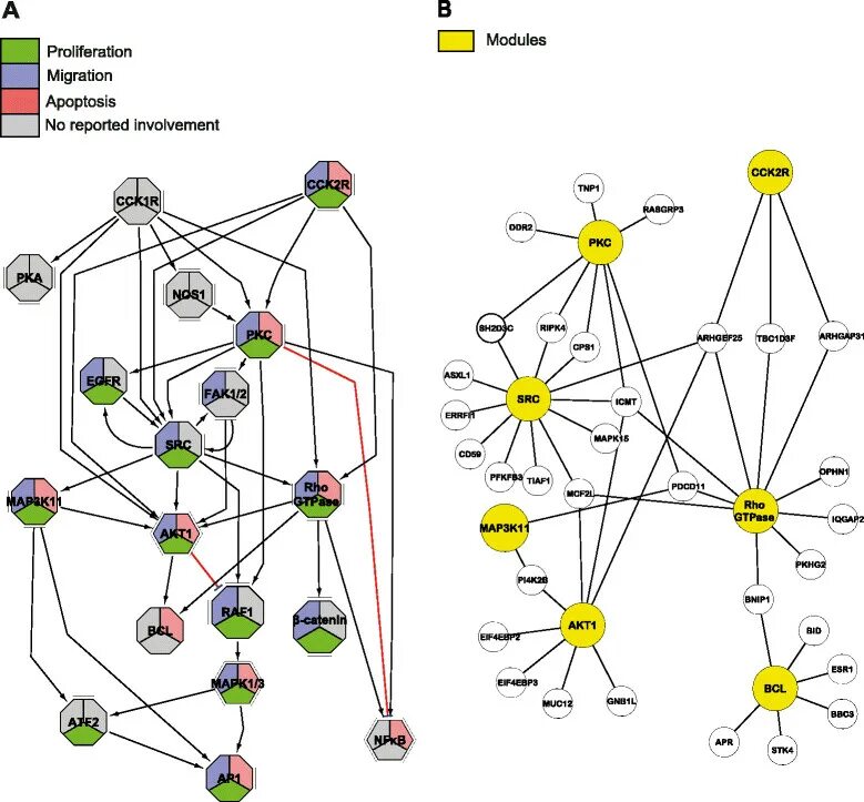 Module map. Module map