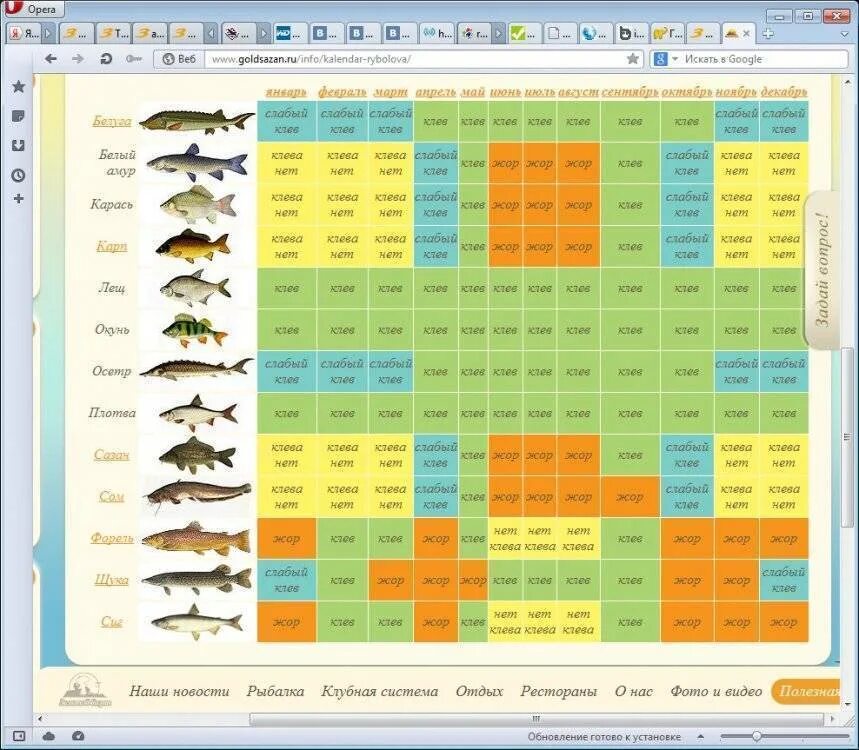 Календарь клева рыбы на 2024г. Таблица клева. Календарь клева. Календарь клева сома. На что клюëт рыба список.